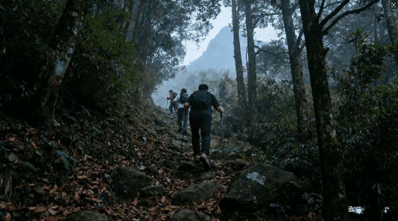 佛跳墙加速器V..安全免费下载与详细使用教程导航